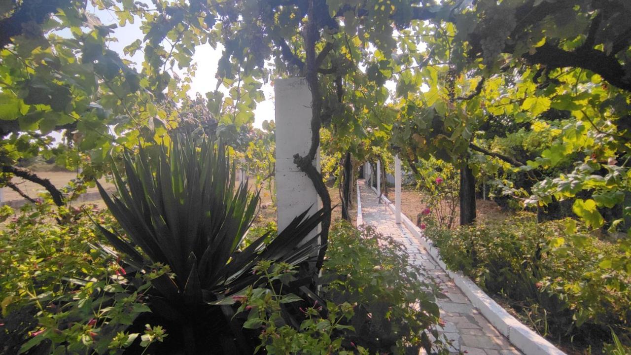 Villa Morin Grey casa en el corazón de la Ribeira Sacra Monforte De Lemos Exterior foto